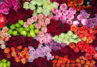 wholesale flowers